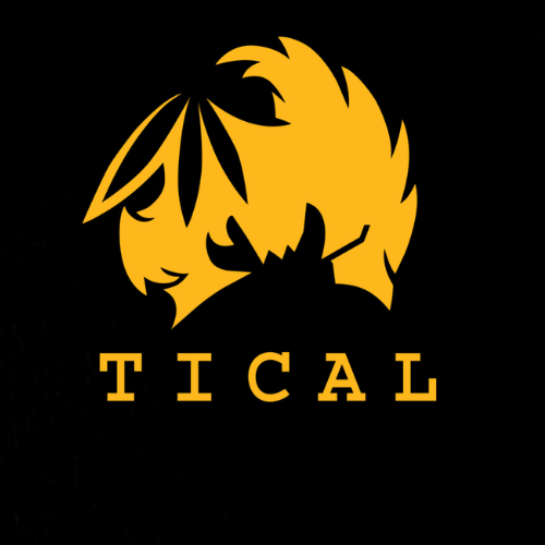 TICAL logo